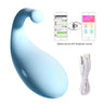 Long-Distance Remote Control Vibrating Egg Female Masturbator