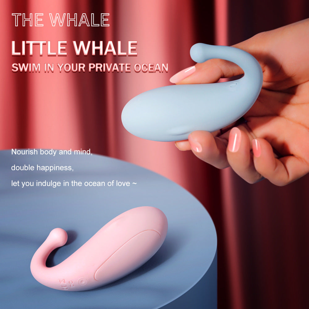 Long-Distance Remote Control Vibrating Egg Female Masturbator