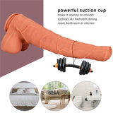 Silicone Simulation Extra Large Horse Dildo